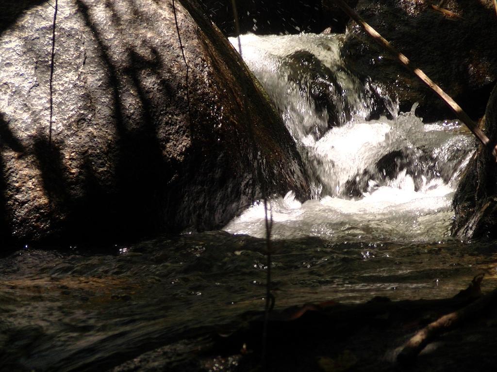 Ytororo O Som Das Aguas Parati Exterior foto