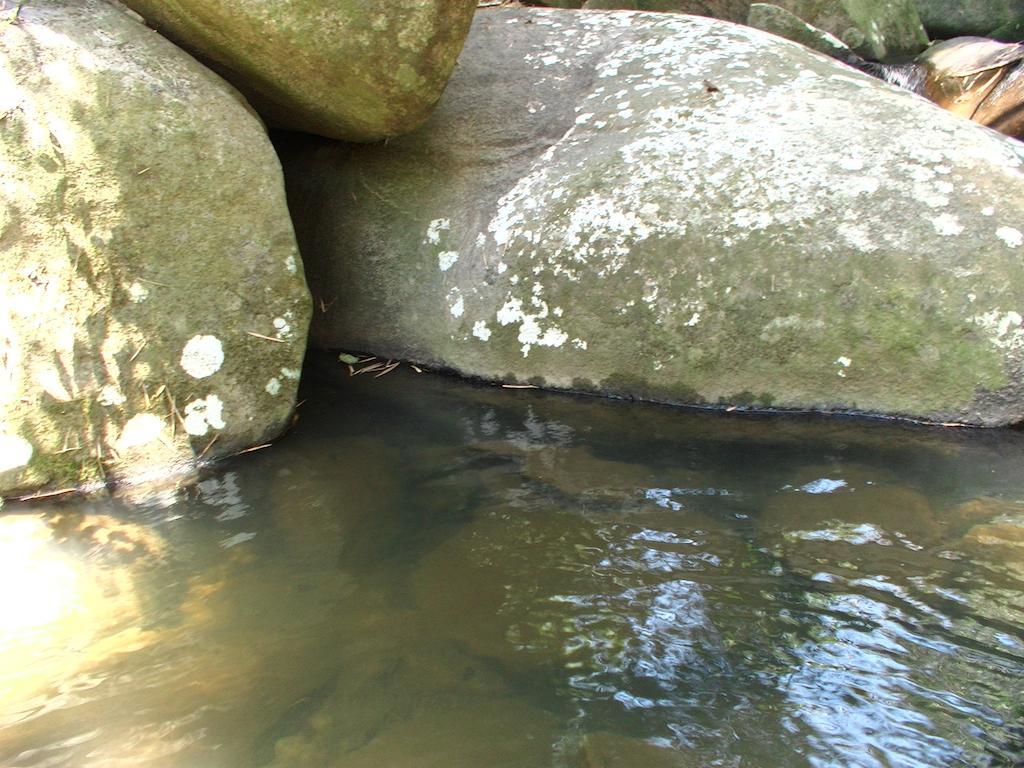 Ytororo O Som Das Aguas Parati Exterior foto
