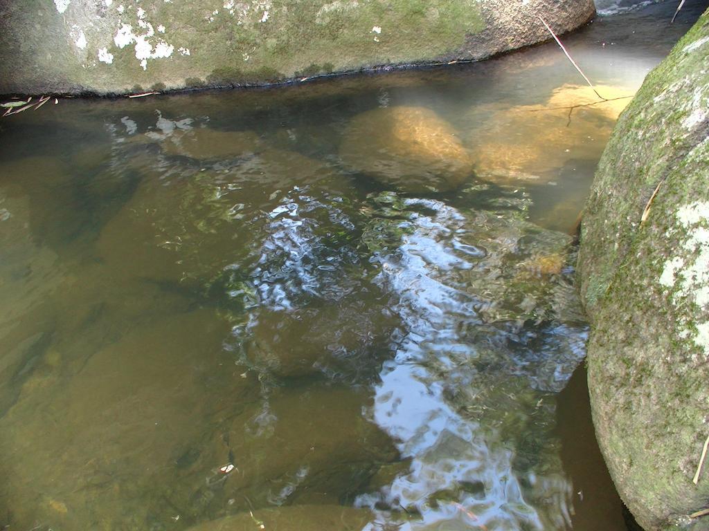 Ytororo O Som Das Aguas Parati Exterior foto